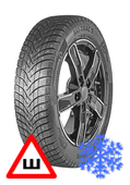 Armstrong Ski-Trac S