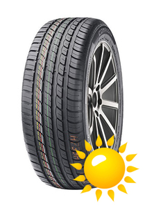 Compasal Smacher 255/55 R19 лето