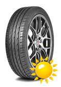 Delinte DH2