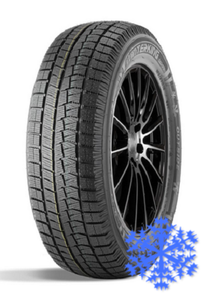 Doublestar DW05 205/55 R16 зима