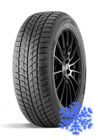 Doublestar DW09 215/45 R17 зима