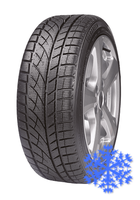 Evergreen EW66 255/40 R19 зима