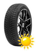 Delinte AW6